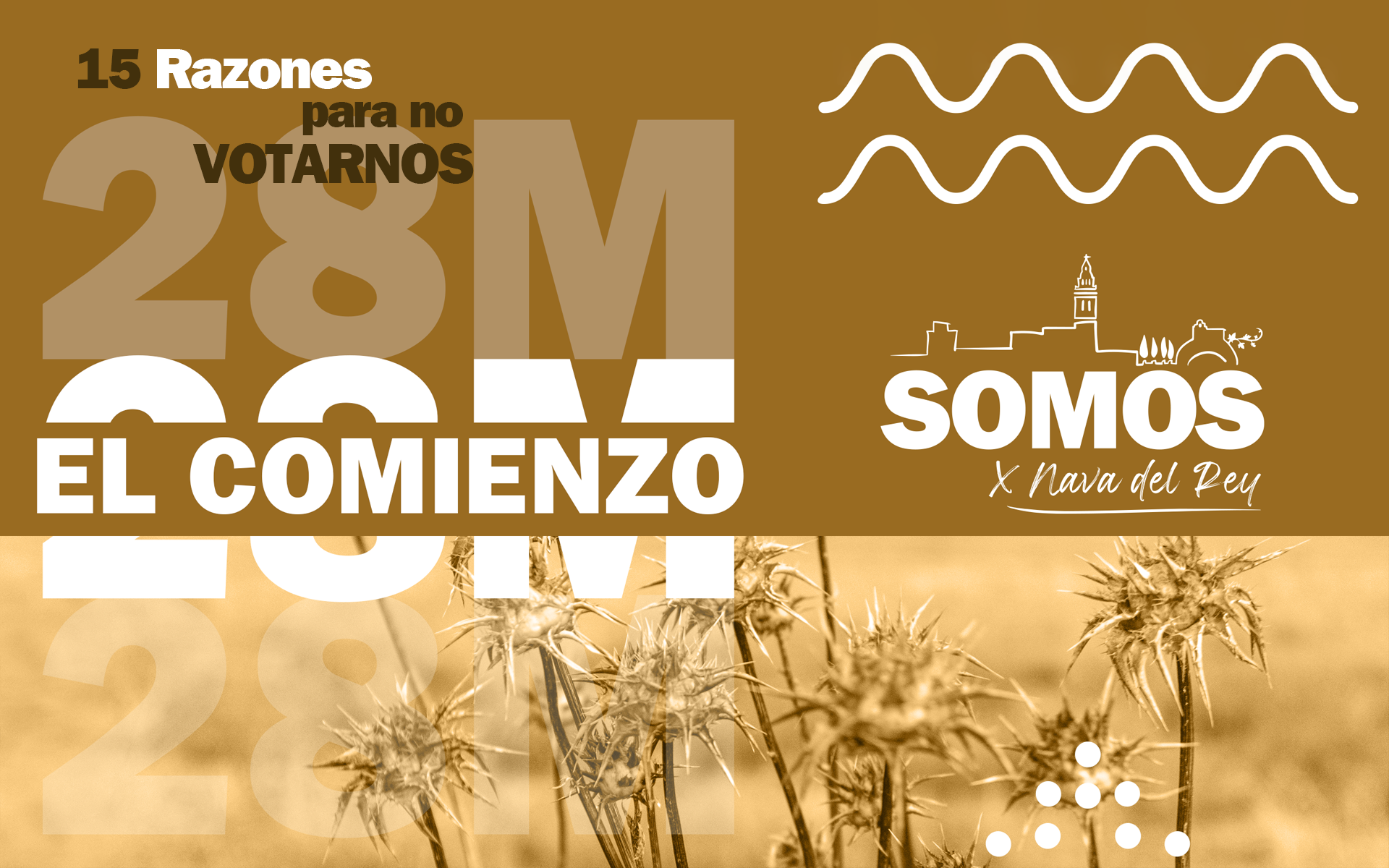 15 RAZONES PARA NO VOTAR A SOMOS